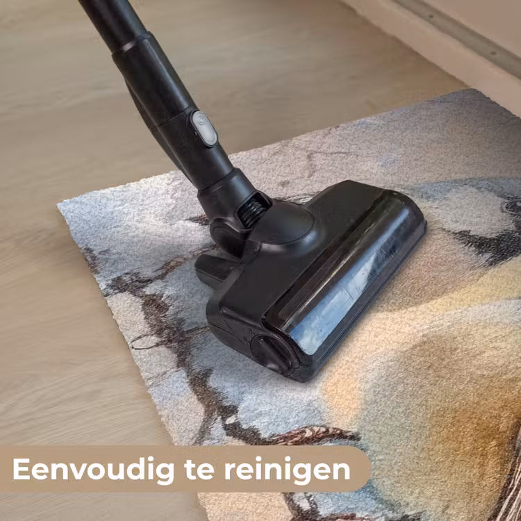 Vogels - Tak - Winter - Sneeuw Deurmat klein -reinigen_NL