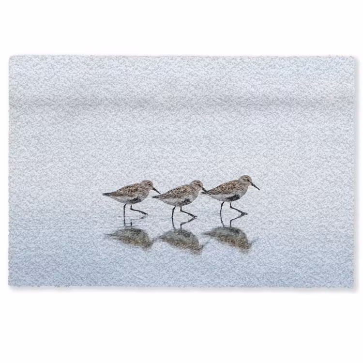 Vogels - Water - Grijs Deurmat klein -zkaufland3d