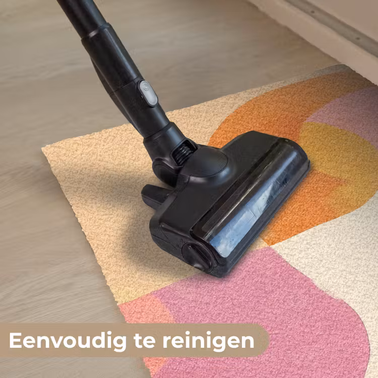 Vormen - Abstract - Kleurrijk Deurmat klein -reinigen_NL