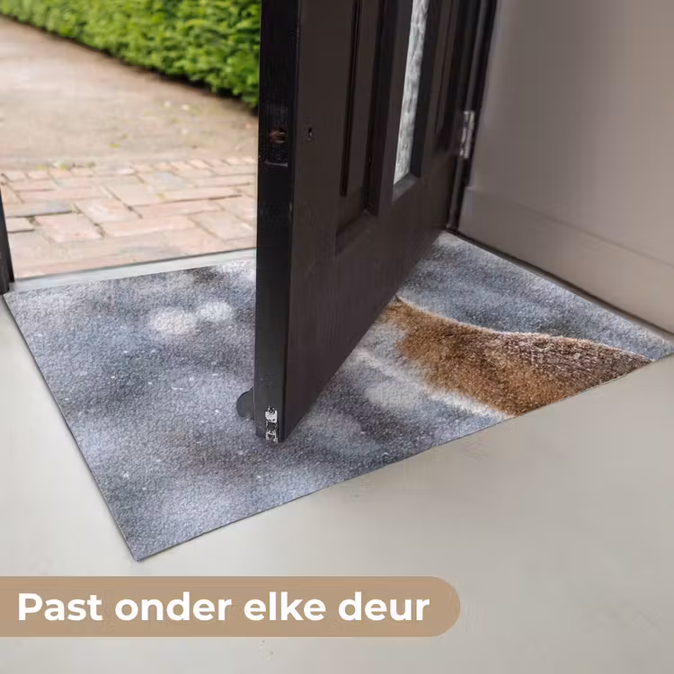 Vos - Sneeuwval - Portret - Winter - Sfeervol Deurmat klein -USP_NL