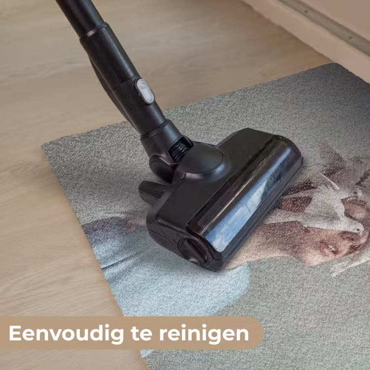 Vrouw - Vogels - Abstract - Modern - Wit Deurmat klein -reinigen_NL