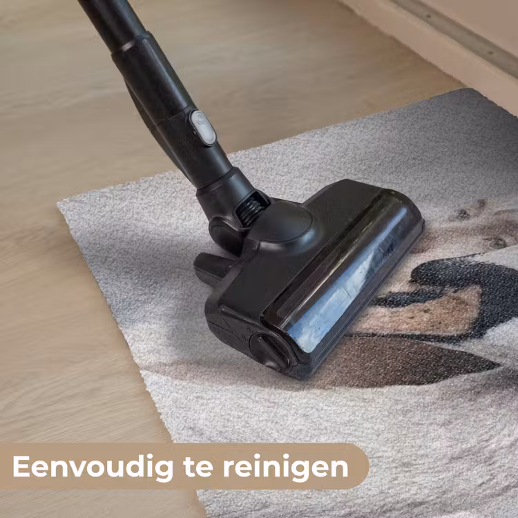 Vrouw - Zwaan - Wit Deurmat klein -reinigen_NL