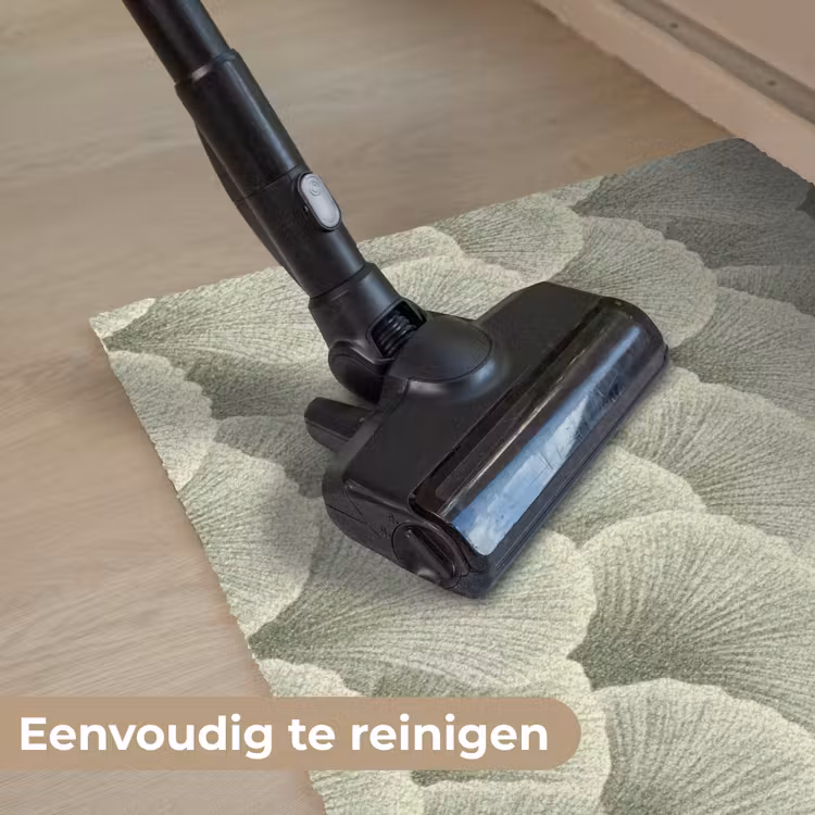 Waaier - Blad - Groen Deurmat klein 898 -reinigen_NL
