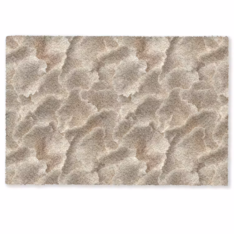 Waaierstructuren - Beige - Vezeltextuur Deurmat klein 898 -zkaufland3d