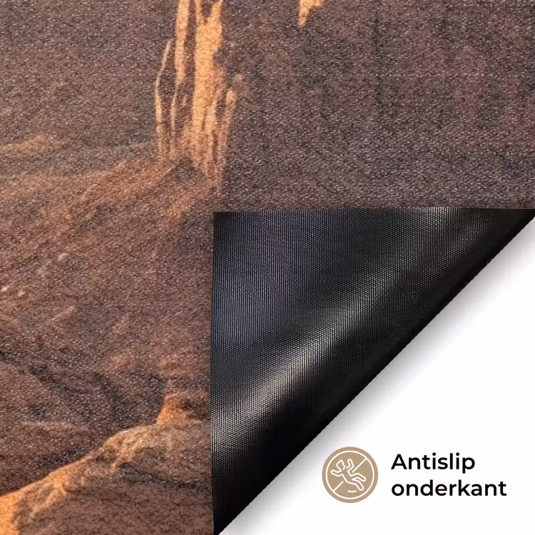 Woestijn - Landschap - Natuur Deurmat klein -antislip_NL