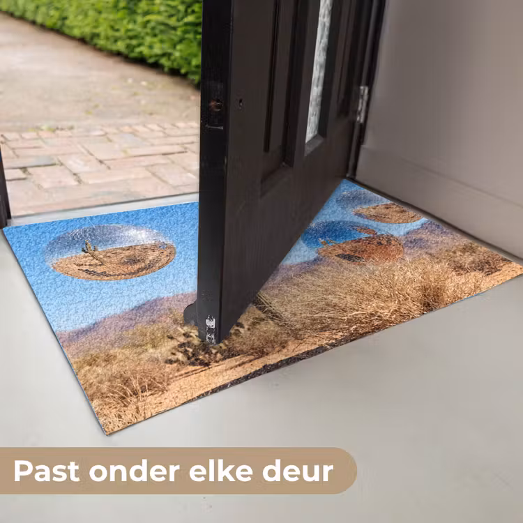 Deurmat - Woestijn - Spiegelbal - Kunst - Woestijn - Spiegelbal - Kunst Deurmat klein
