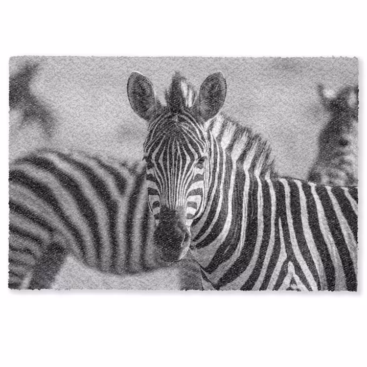 Zebra's - Zwart - Wit Deurmat klein -zkaufland3d