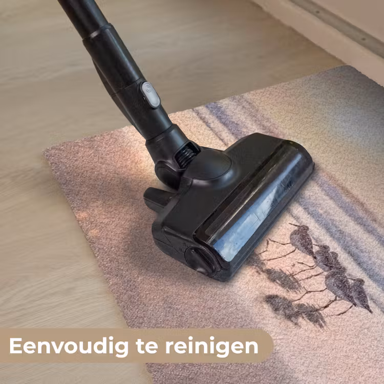 Zee - Vogels - Strand Deurmat klein -reinigen_NL