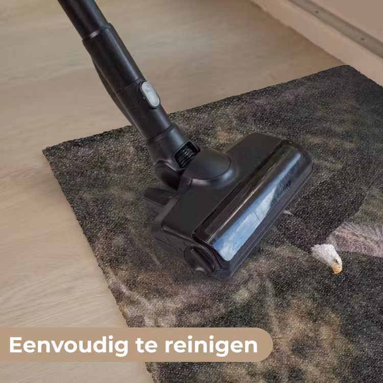 Zeearend - Vliegen - Bos - Natuur Deurmat klein -reinigen_NL