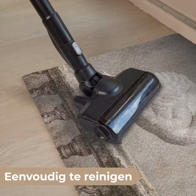 Zwaan - Elegant - Dieren - Wit Deurmat klein -reinigen_NL