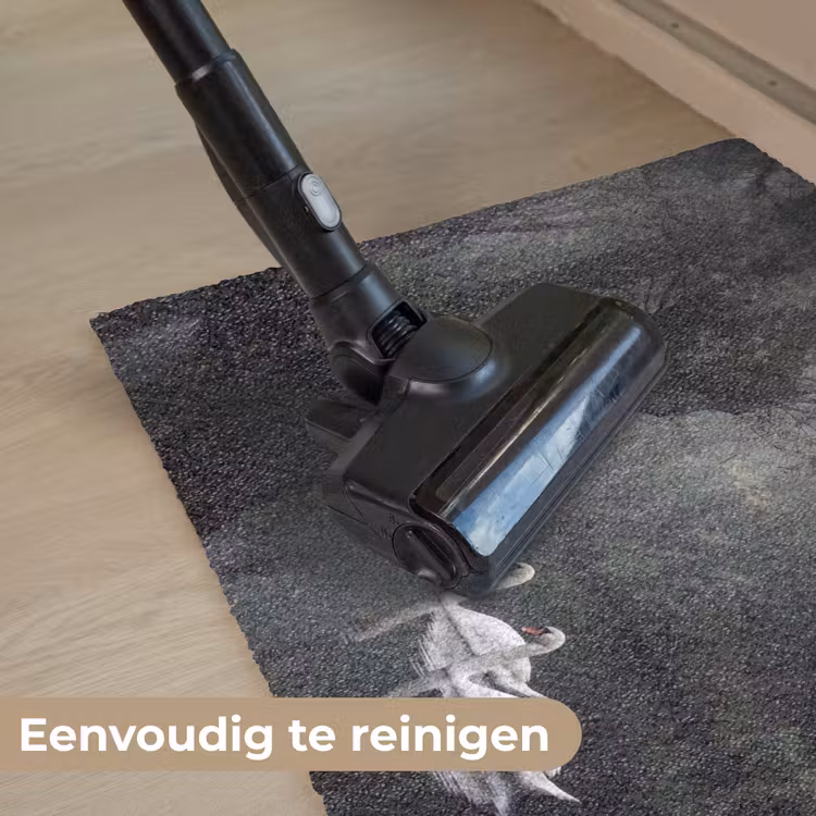 Zwanen - Rivier - Bos Deurmat klein -reinigen_NL