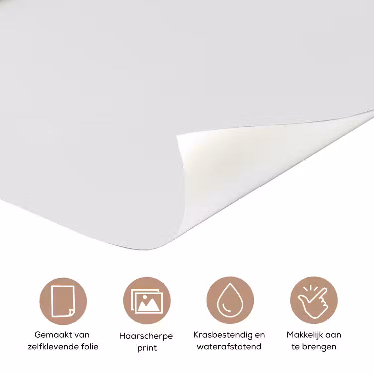 Badeend - Minimalistisch - Wit deurposter klein -closeup_NL
