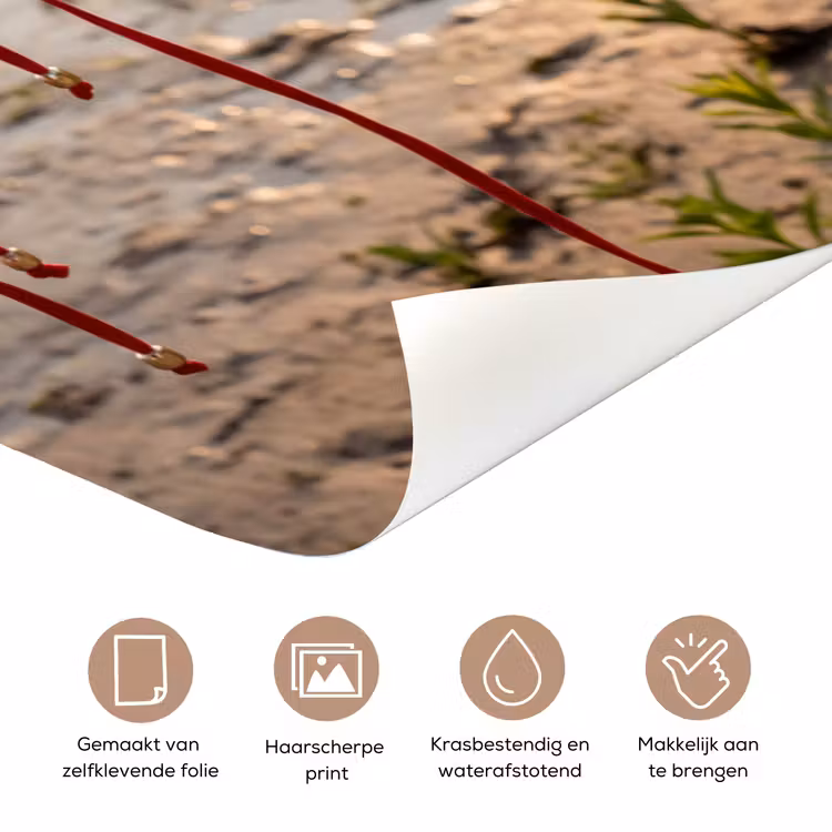 Badkleding - Rood - Zomer - Water - Zonsondergang deurposter klein -closeup_NL