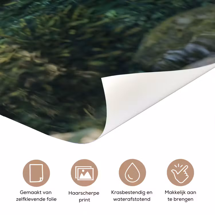 Beek - Waterval - Natuur - Groen deurposter klein -closeup_NL
