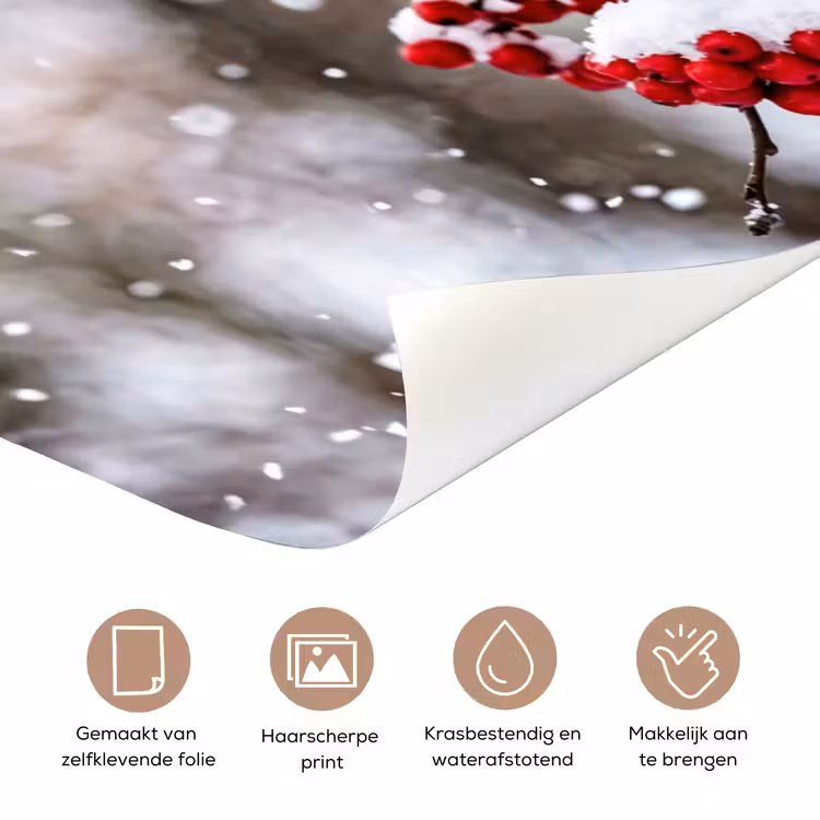 Bessen - Takken - Sneeuw - Winter - Kleurrijk deurposter klein -closeup_NL