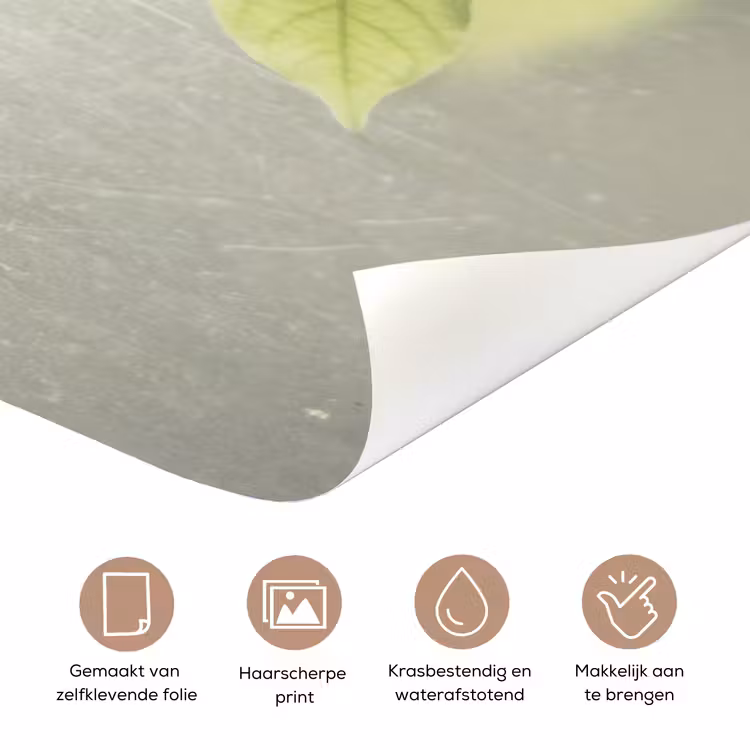 Blad - Schaduw - Natuur - Abstract - Groen deurposter klein -closeup_NL