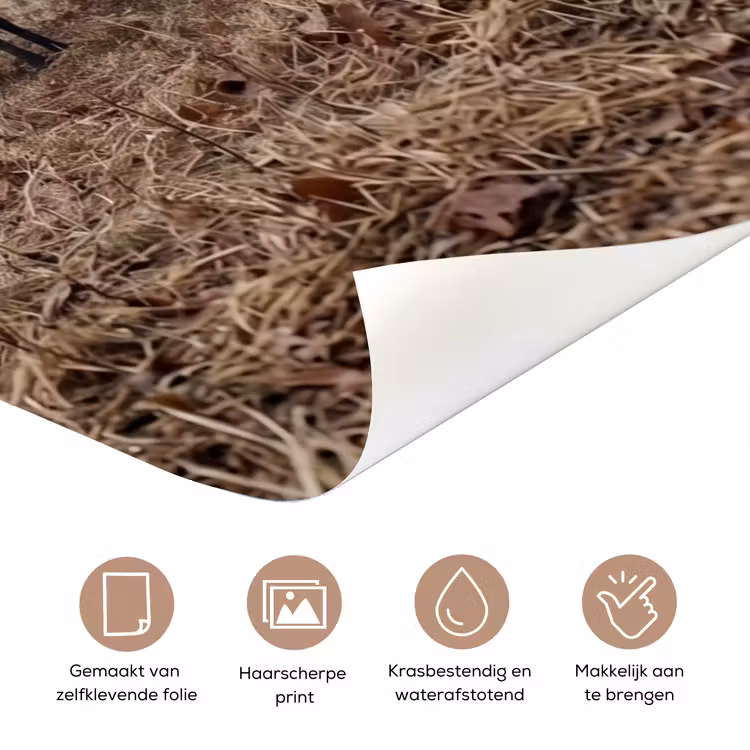 Boerderijdieren - Groep - Mist - Natuur - Rustiek deurposter klein -closeup_NL