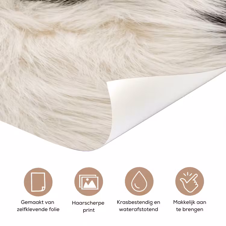 Bont - Textuur - Zwart - Wit deurposter klein -closeup_NL