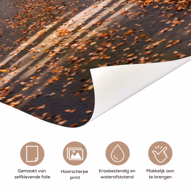 Bospad - Herfstbos - Bladeren - Oranje - Nostalgisch deurposter klein -closeup_NL