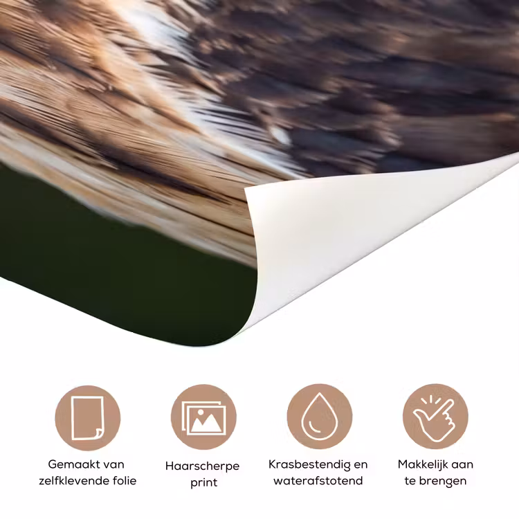 Buizerd - Roofvogel - Natuur - Bruin deurposter klein -closeup_NL