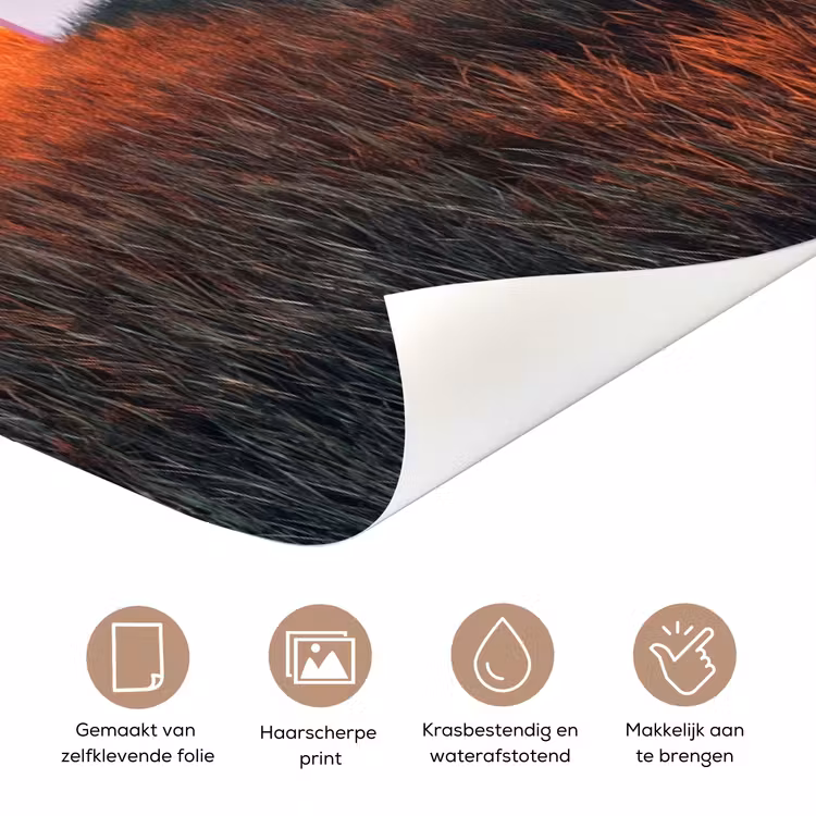 Deursticker - Deur - Fantasie - Ruimte - Deur - Fantasie - Ruimte deurposter klein