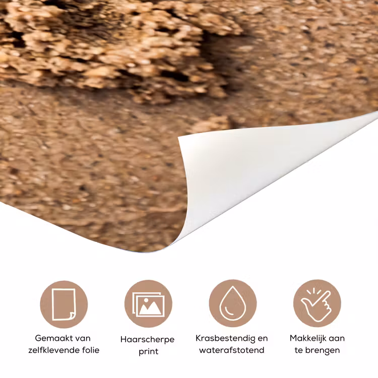 Dieren - Hart - Strand - Zand - Roze deurposter klein -closeup_NL