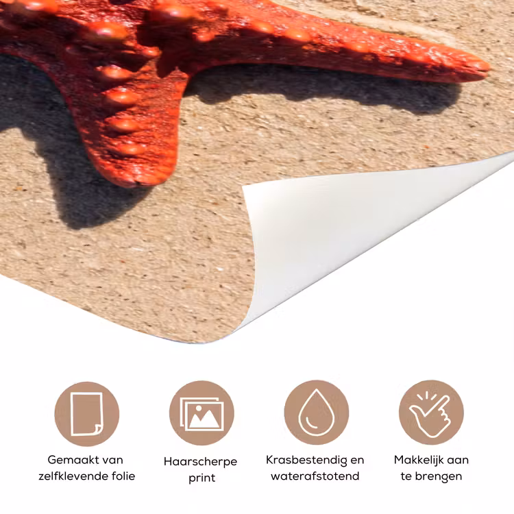 Dieren - Strand - Zee - Natuur - Rood deurposter klein -closeup_NL