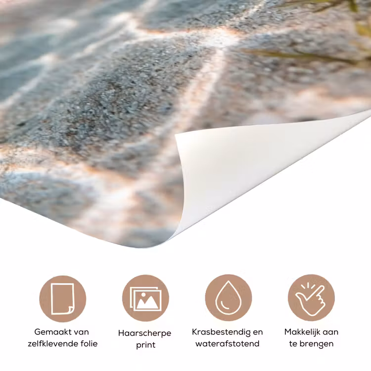 Duikbril - Eend - Water deurposter klein -closeup_NL