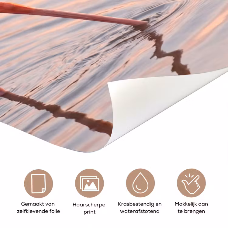 Flamingo - Water - Roze deurposter klein -closeup_NL