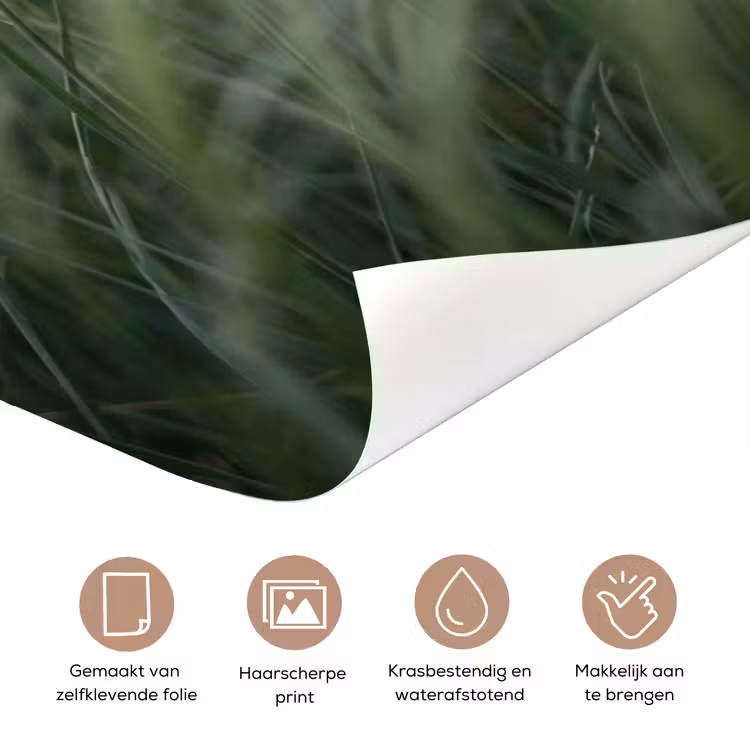 Gras - Wazig - Natuur - Groen - Zacht deurposter klein -closeup_NL