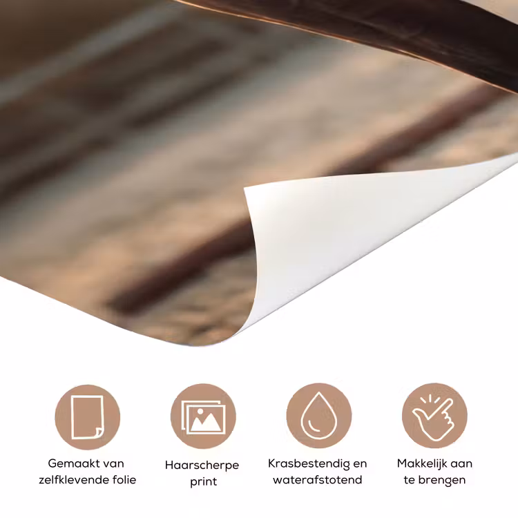 Harmonie - Ruiter - Zon deurposter klein -closeup_NL