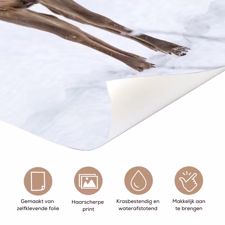 Hert - Winter - Bos - Natuur - Wit deurposter klein -closeup_NL