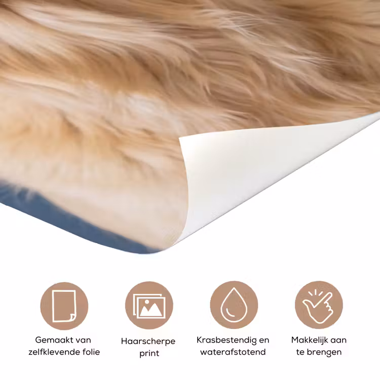 Hond - Badeend - Geel deurposter klein -closeup_NL