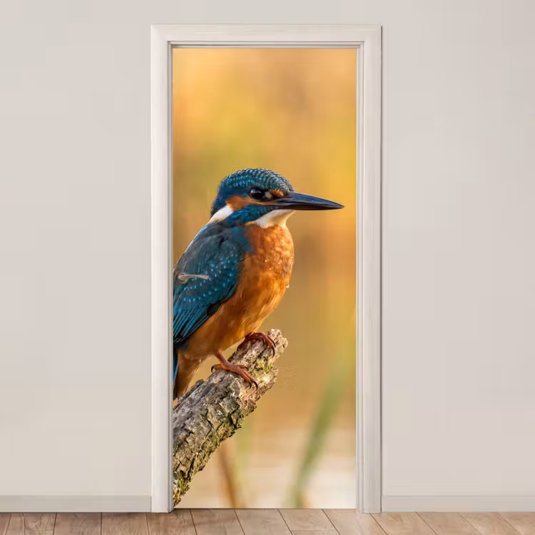 IJsvogel - Tak - Water - Kleurrijk - Levendig deurposter klein -3d_beige
