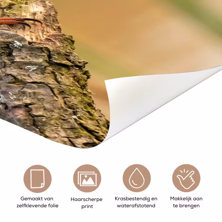 IJsvogel - Tak - Water - Kleurrijk - Levendig deurposter klein -closeup_NL