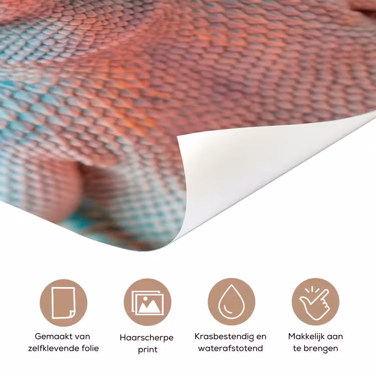 Kameleon - Kauwgom - Kleurrijk deurposter klein -closeup_NL