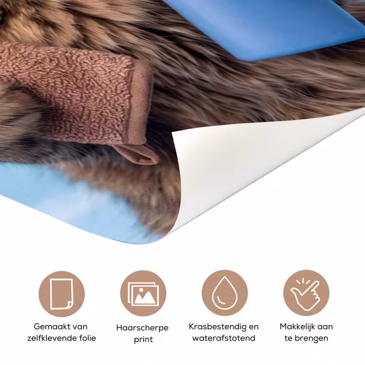 Kat - Handdoek - Washand - Zeep deurposter klein -closeup_NL