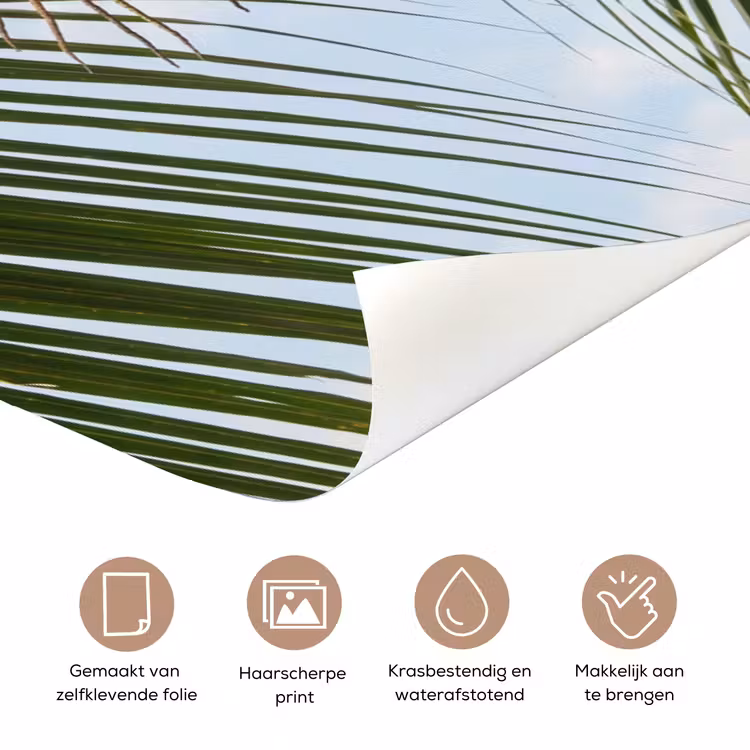 Kokosnoot - Boom - Tropisch - Natuur - Groen deurposter klein -closeup_NL