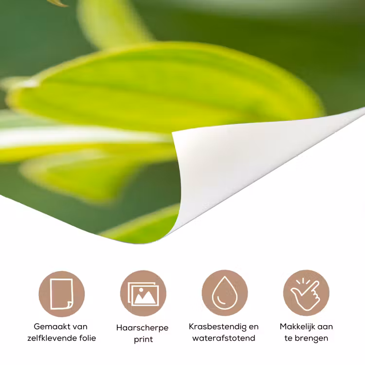 Kolibrie - Bloem - Natuur - Groen deurposter klein -closeup_NL