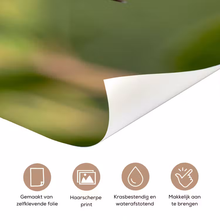Kolibrie - Bloem - Natuur - Groen deurposter klein -closeup_NL