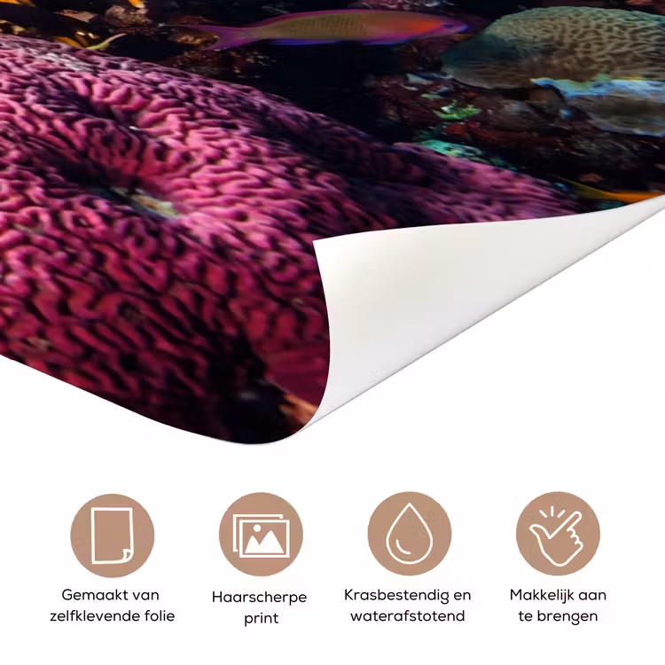 Koraal - Vissen - Oceaan - Natuur - Kleurrijk deurposter klein -closeup_NL