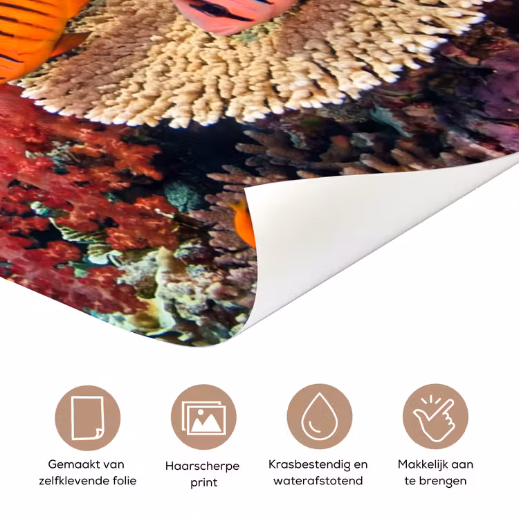Koraalrif - Vissen - Onderwater - Tropisch - Rood deurposter klein -closeup_NL