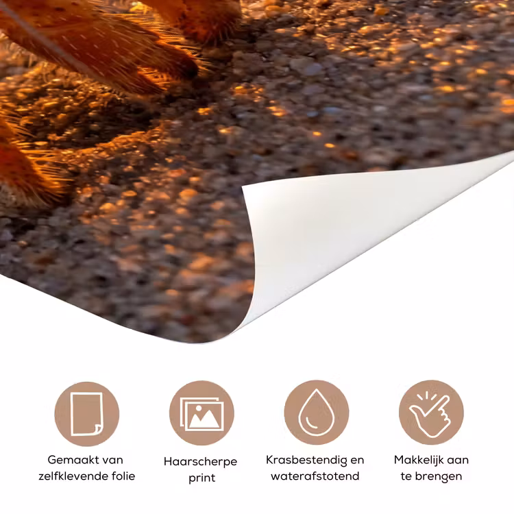 Kreeft - Strand - Natuur - Zonsondergang - Oranje deurposter klein -closeup_NL