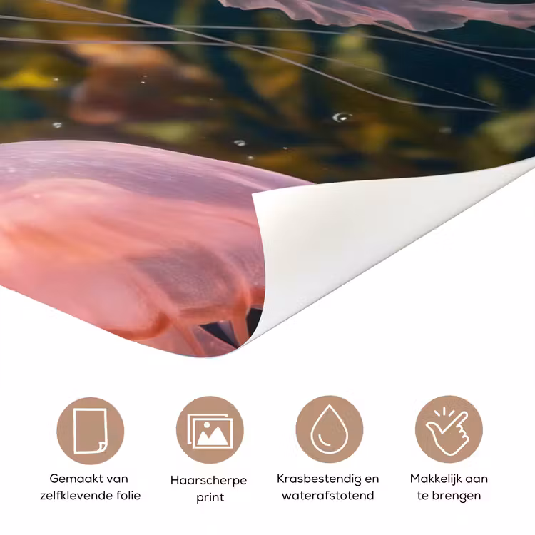 Kwal - Roze - Onderwater - Zeeleven - Dieren deurposter klein -closeup_NL