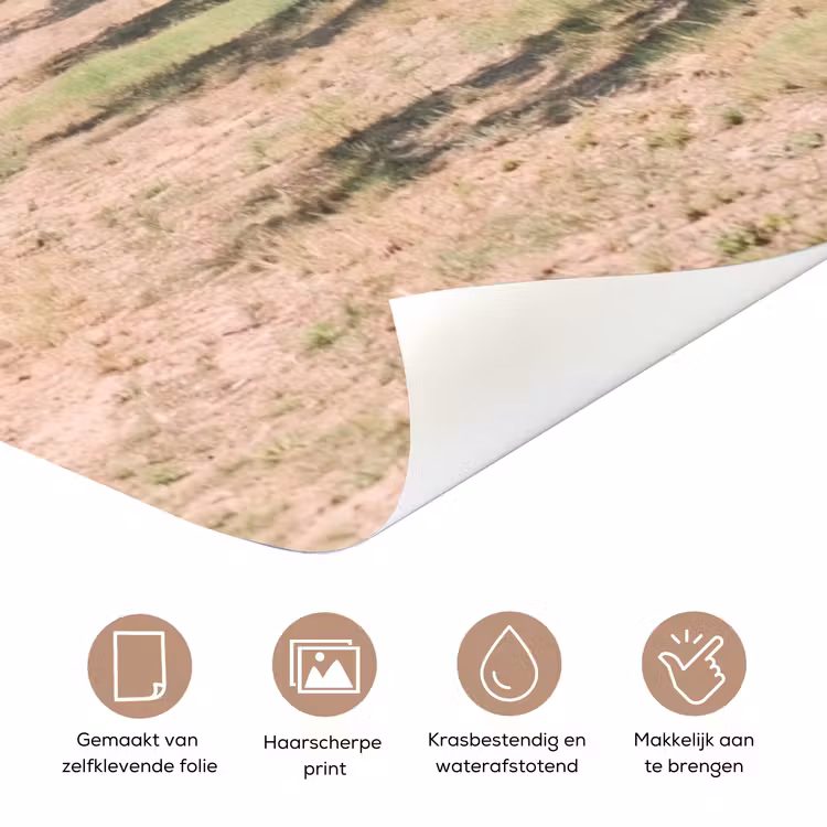 Deursticker - Landhuis - olijfboom - gaard - Landhuis - olijfboom - gaard deurposter klein