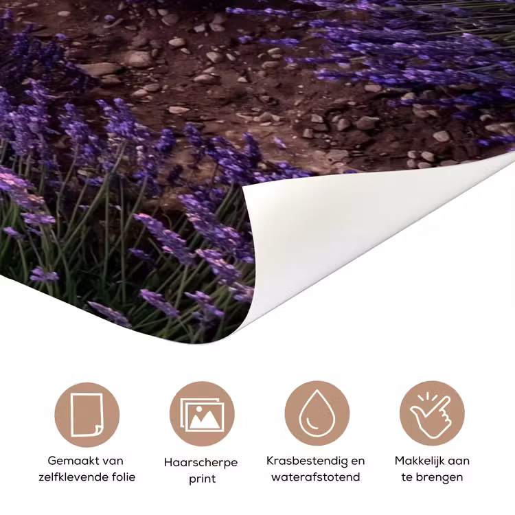 Landschap - Lavendelveld - Paars deurposter klein -closeup_NL