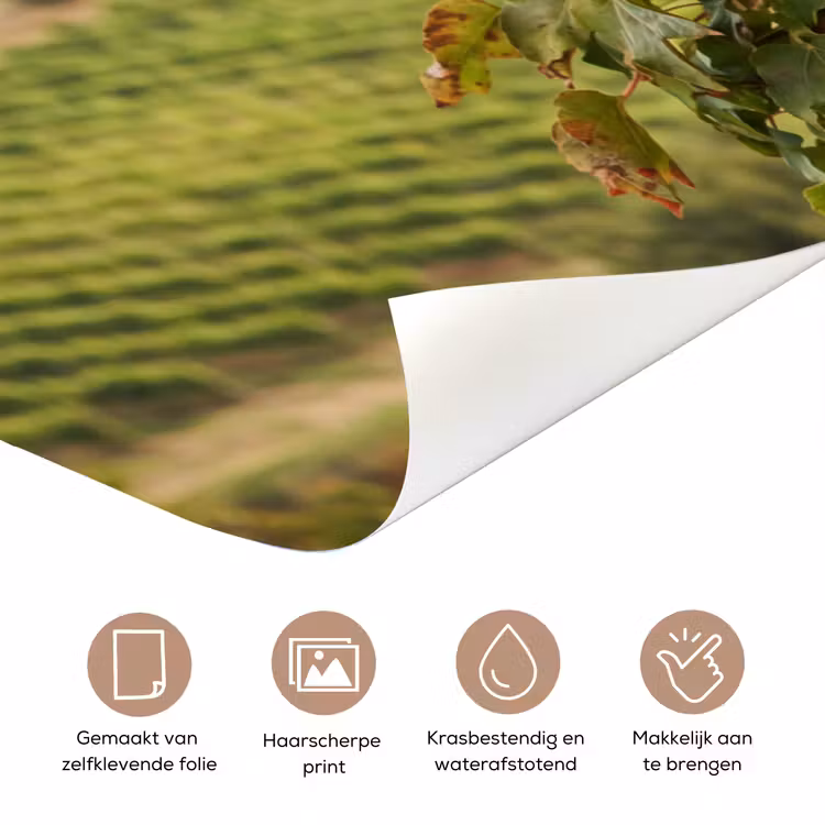 Lantaarn - Wijngaard - Landschap - Italiaans deurposter klein -closeup_NL