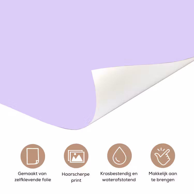 Light - Orchid - Paars deurposter klein 289 -closeup_NL