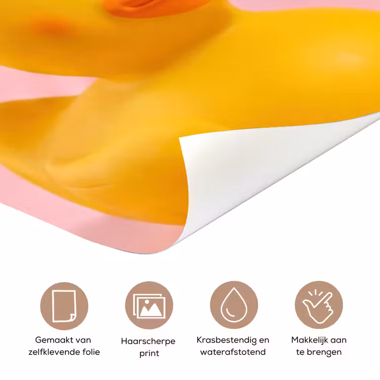 Matroos - Eend - Roze deurposter klein -closeup_NL