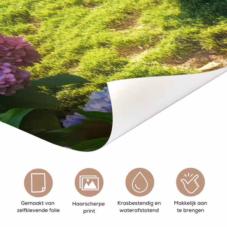 Natuur - Hortensia - Bloemen - Groen deurposter klein -closeup_NL
